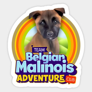 Belgian Malinois Sticker